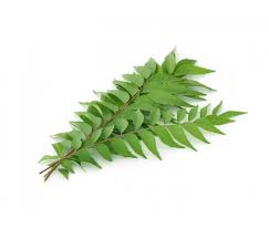 Curry Leaves