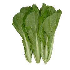 Master Saag