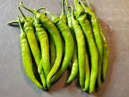 Turkish Green Chilli
