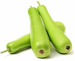 Kodu / Gourd