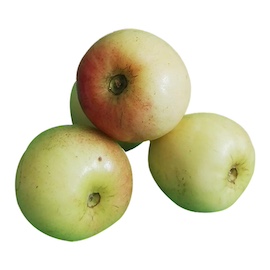 Apple Boroi