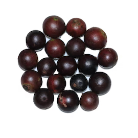 Lukluki / Coffee Plum