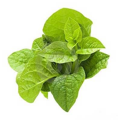 Mint