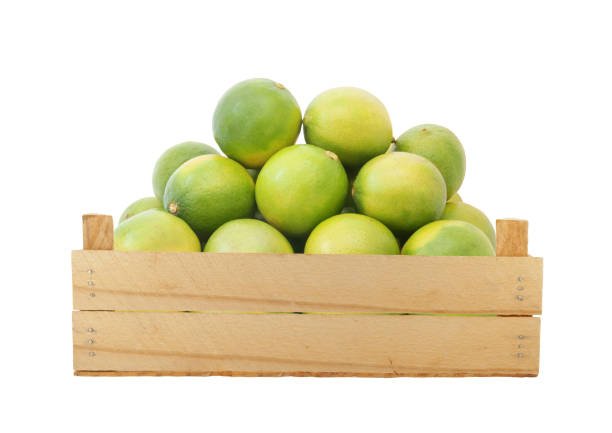 Lime