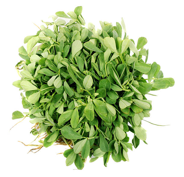 Methi Saag