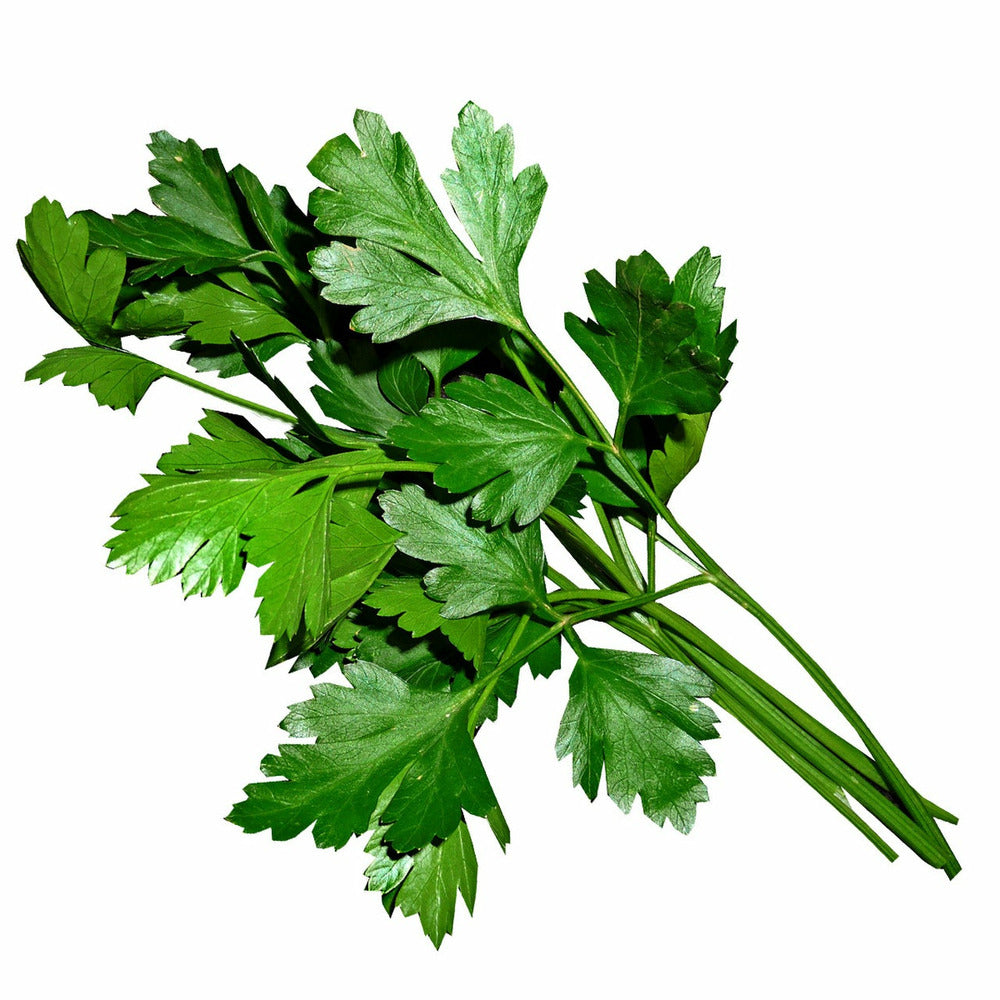 Parsley