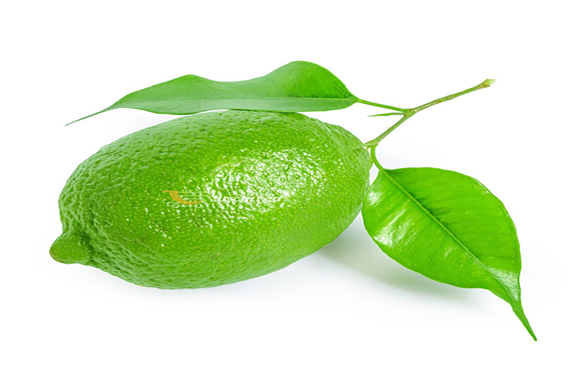 Kagzi Lebu (Lemon)