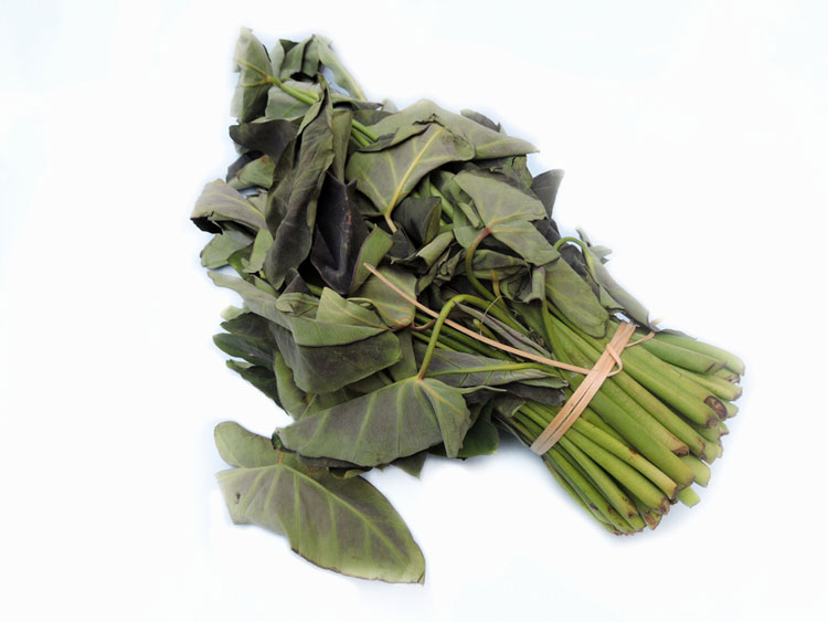 Kochu Pata