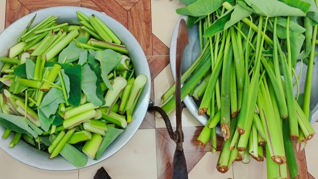 Kochu Pata