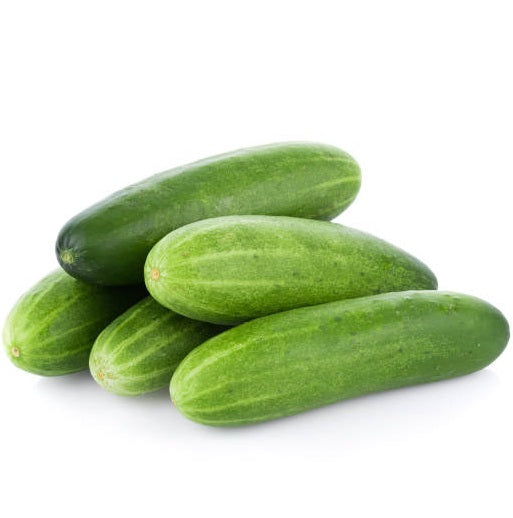 Cucumber