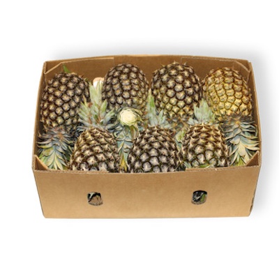 Pineapple
