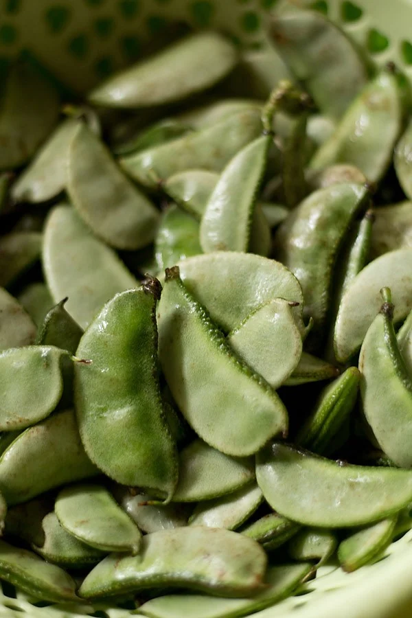 Papri Beans