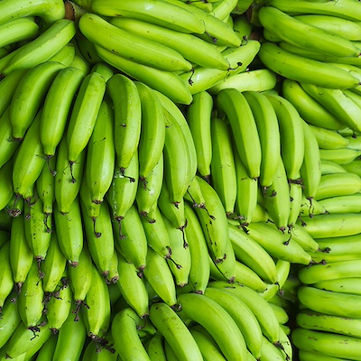 Plantain Green