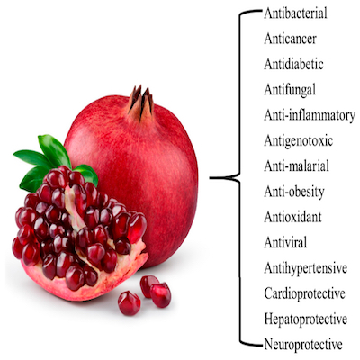 Pomegranate