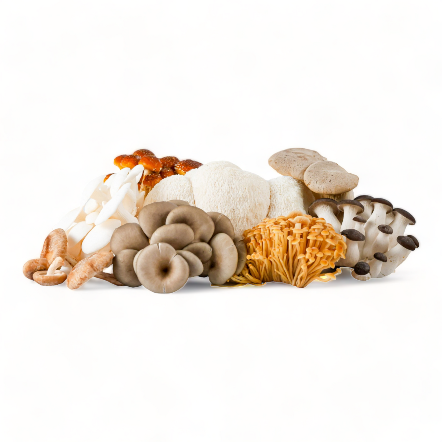 Mixed Mushroom