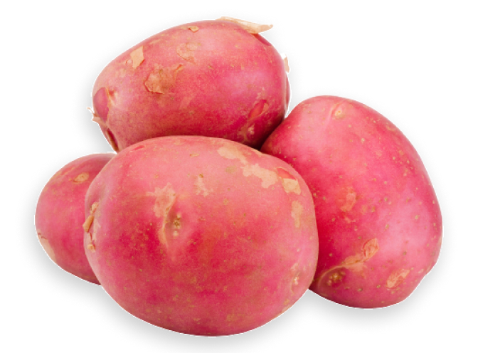 Potato Red PP