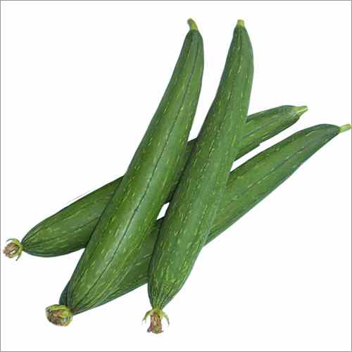 Galka