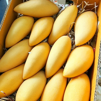 Thailand Mango
