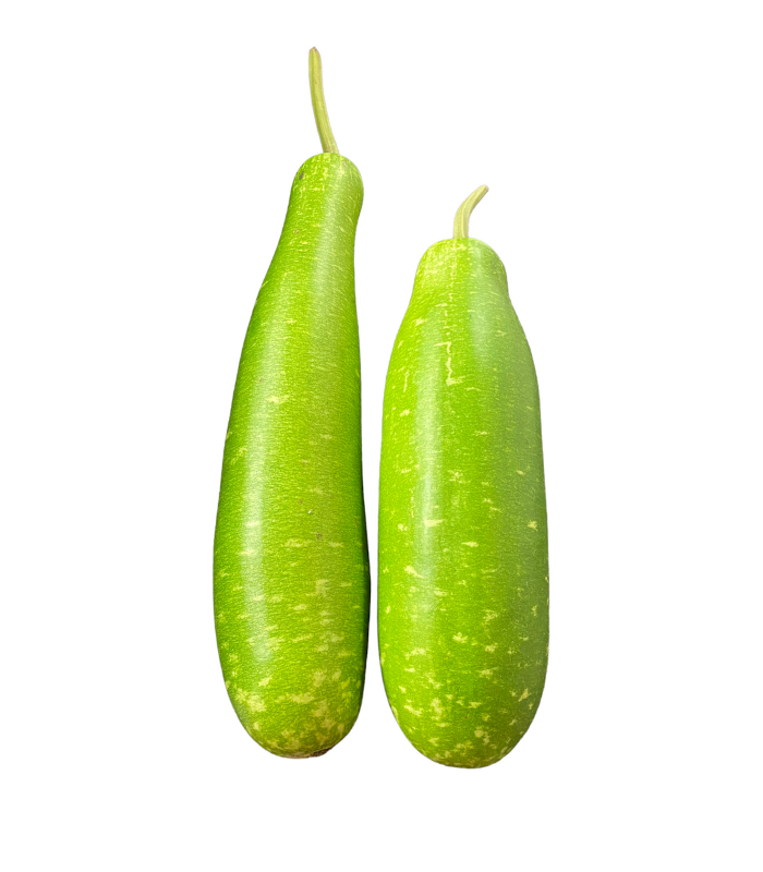 Kodu / Gourd