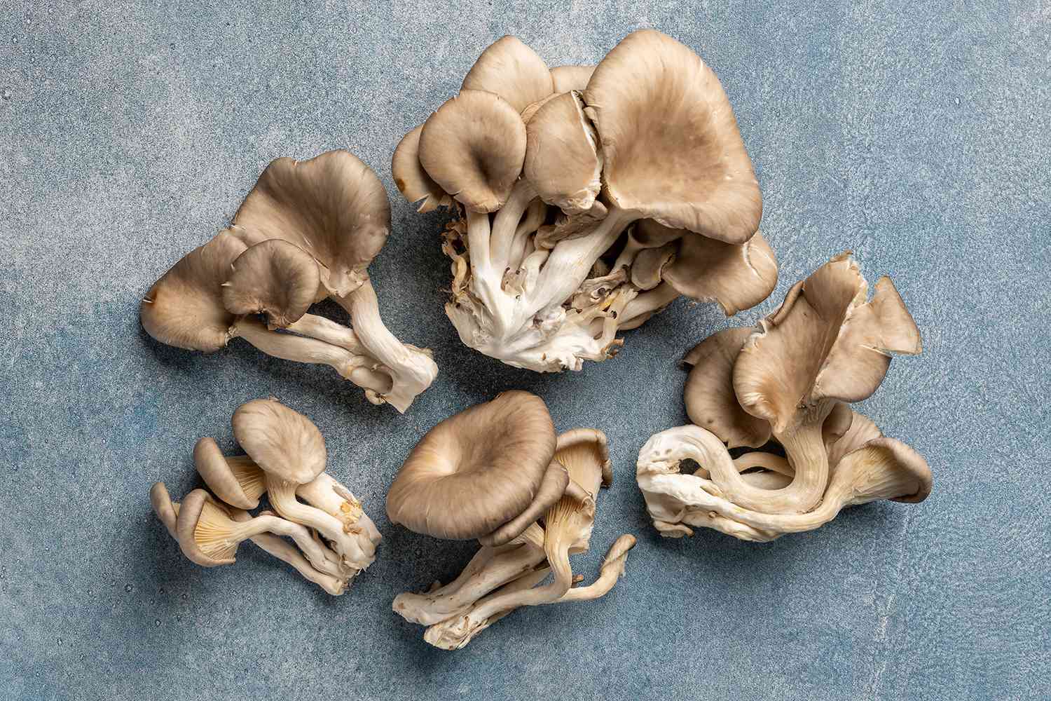 Oysters Mushroom PP