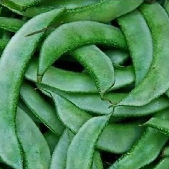 Flat Beans