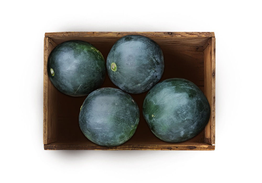 Water Melon Black