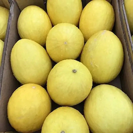 Yellow Melon